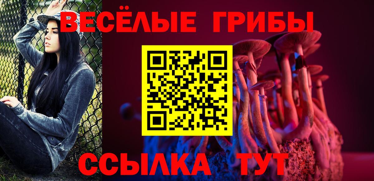 Псилоцибиновые грибы Magic Shrooms Рязань
