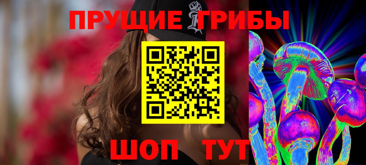 Галлюциногенные грибы Psilocybine cubensis  Вход с VPN  Рязань  Псилоцибиновые грибы Psilocybe 