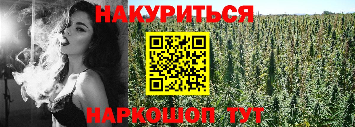 Каннабис SATIVA & INDICA Рязань